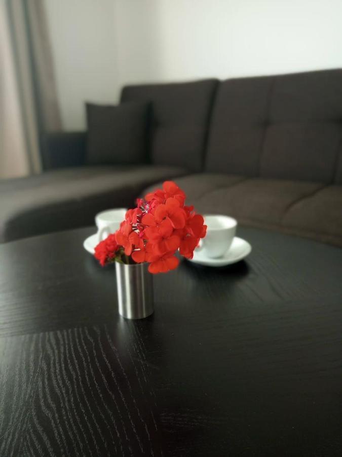 Thea Apartment Agia Marina Extérieur photo